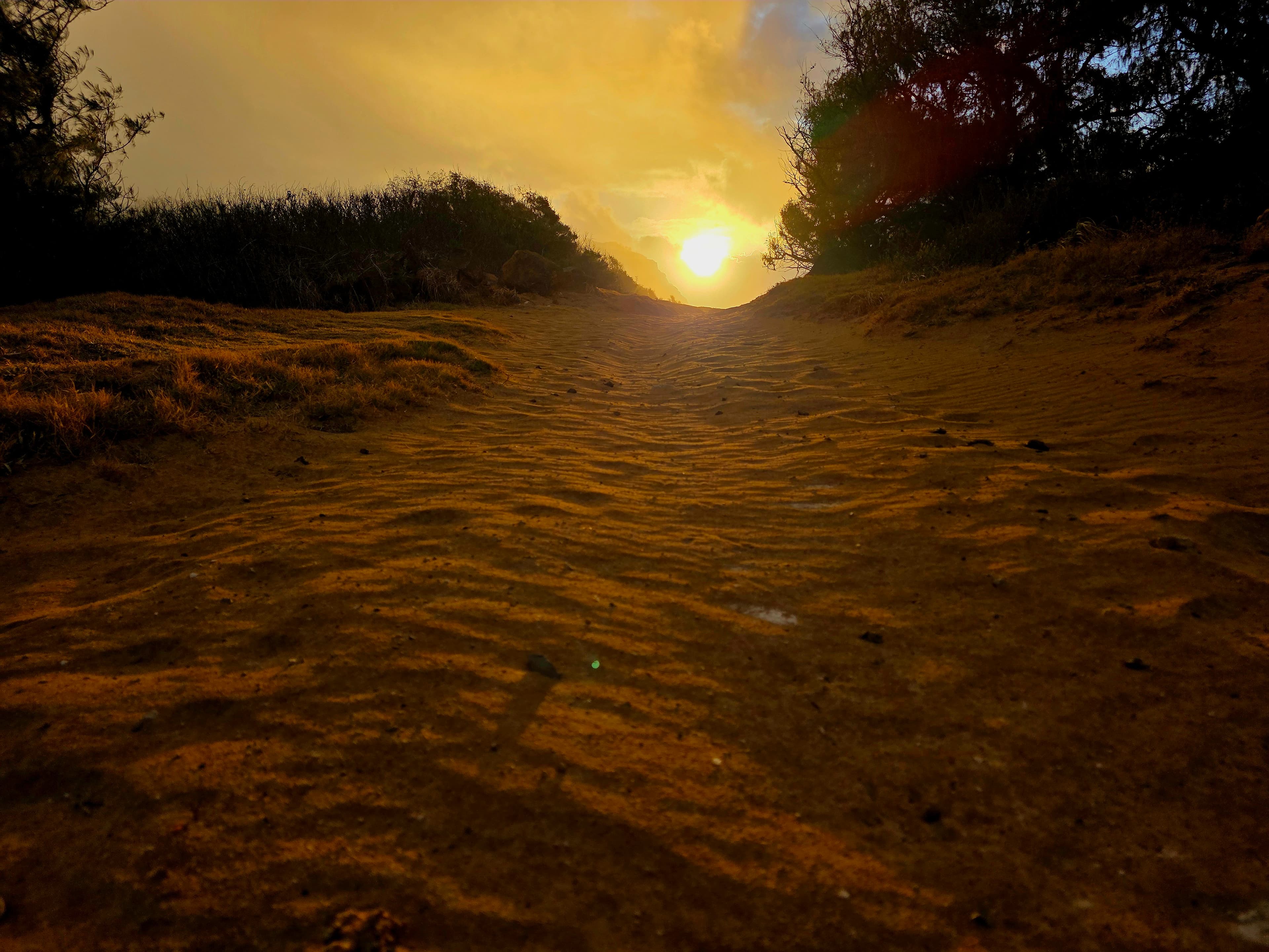 A warm, golden sunrise illuminates a peaceful sandy path through coastal dunes, creating an inviting journey toward the light.