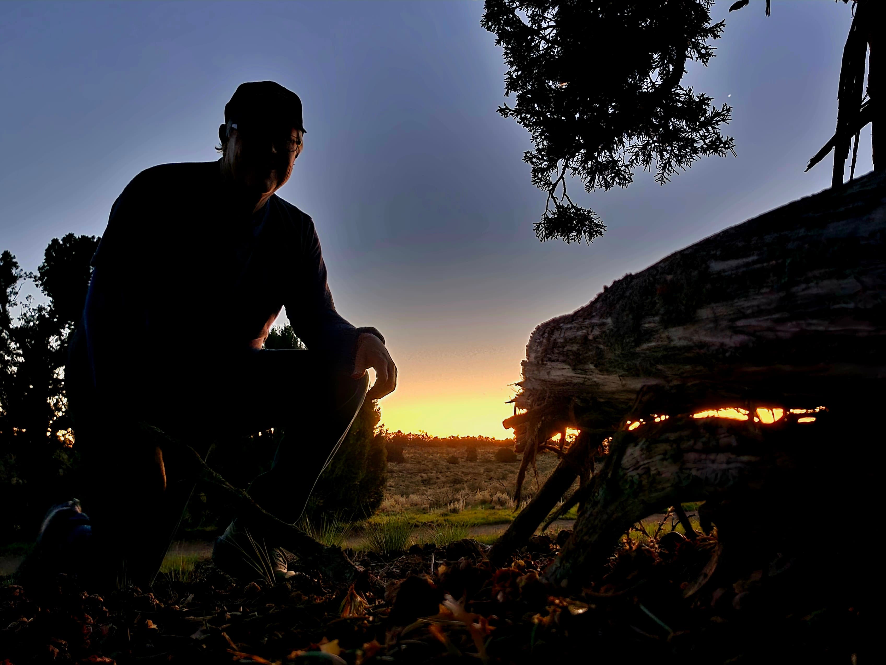 A quiet pause beside a weathered old tree as dawn breaks softly over wild terrain.