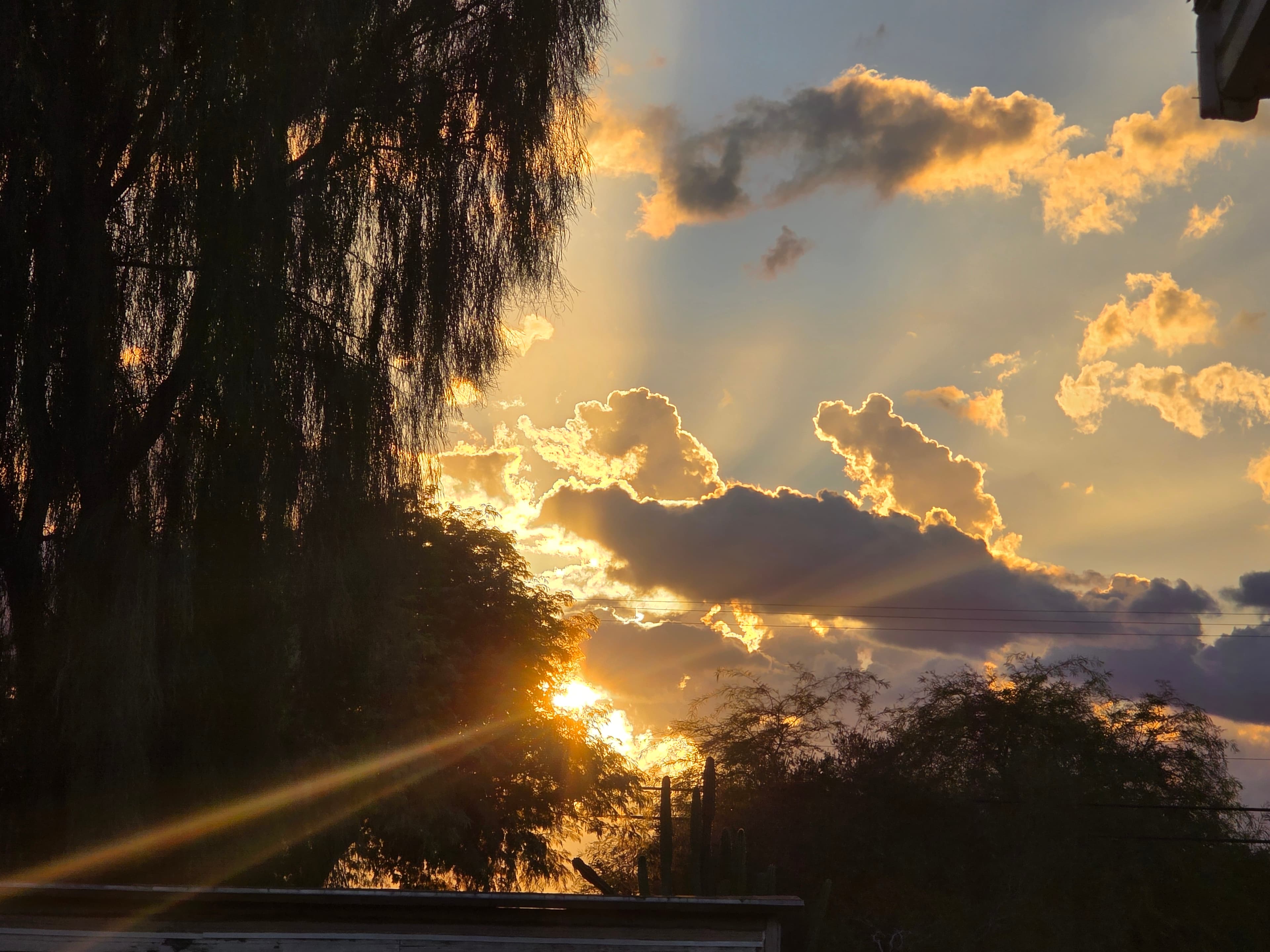 A warm suburban sunrise filtering through dramatic clouds and silhouetted trees, creating golden rays that pierce the morning sky with gentle intensity.