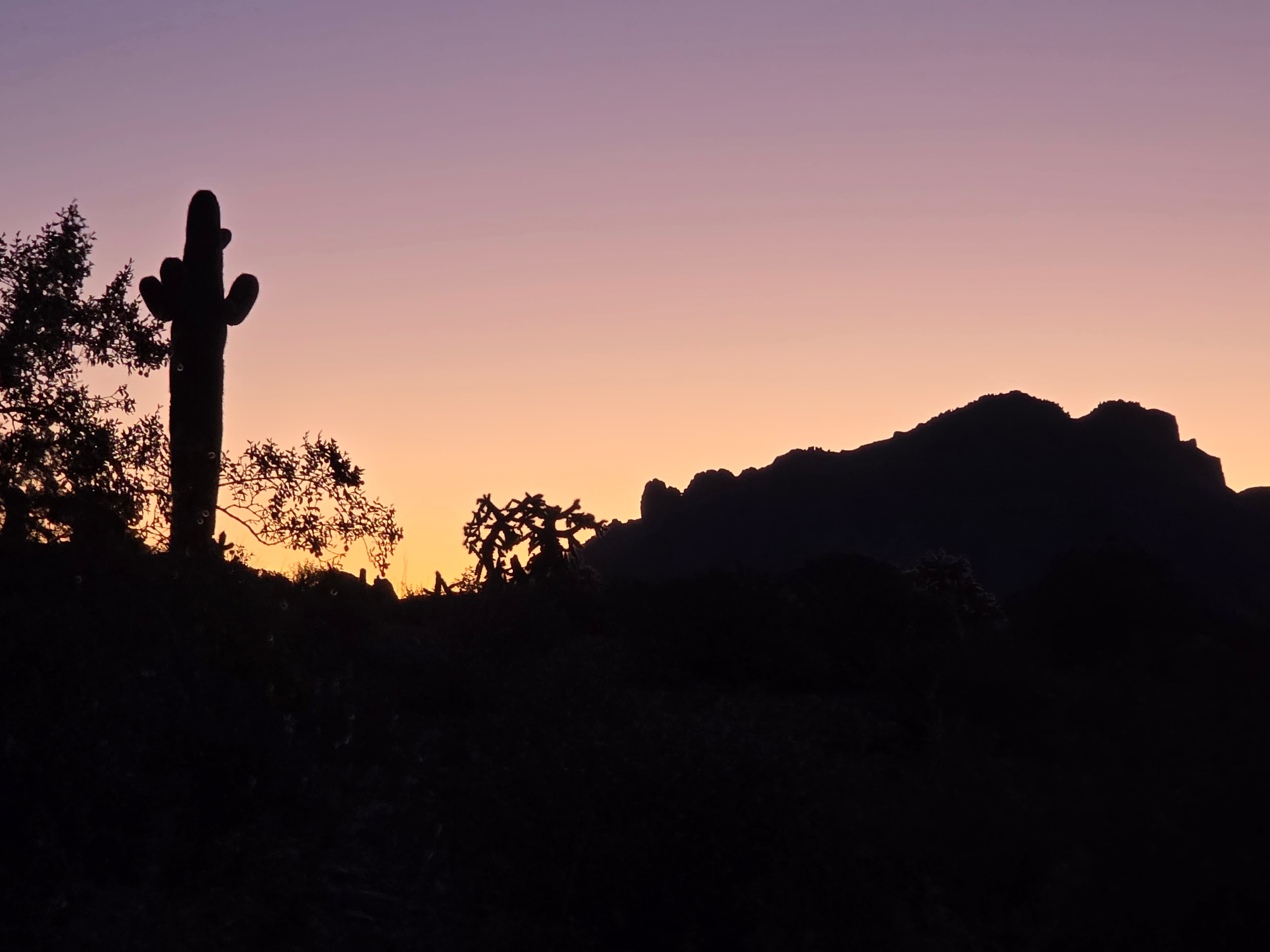 A serene desert dawn unfolds with soft purple and orange hues silhouetting the iconic saguaro cactus against rugged mountain peaks.