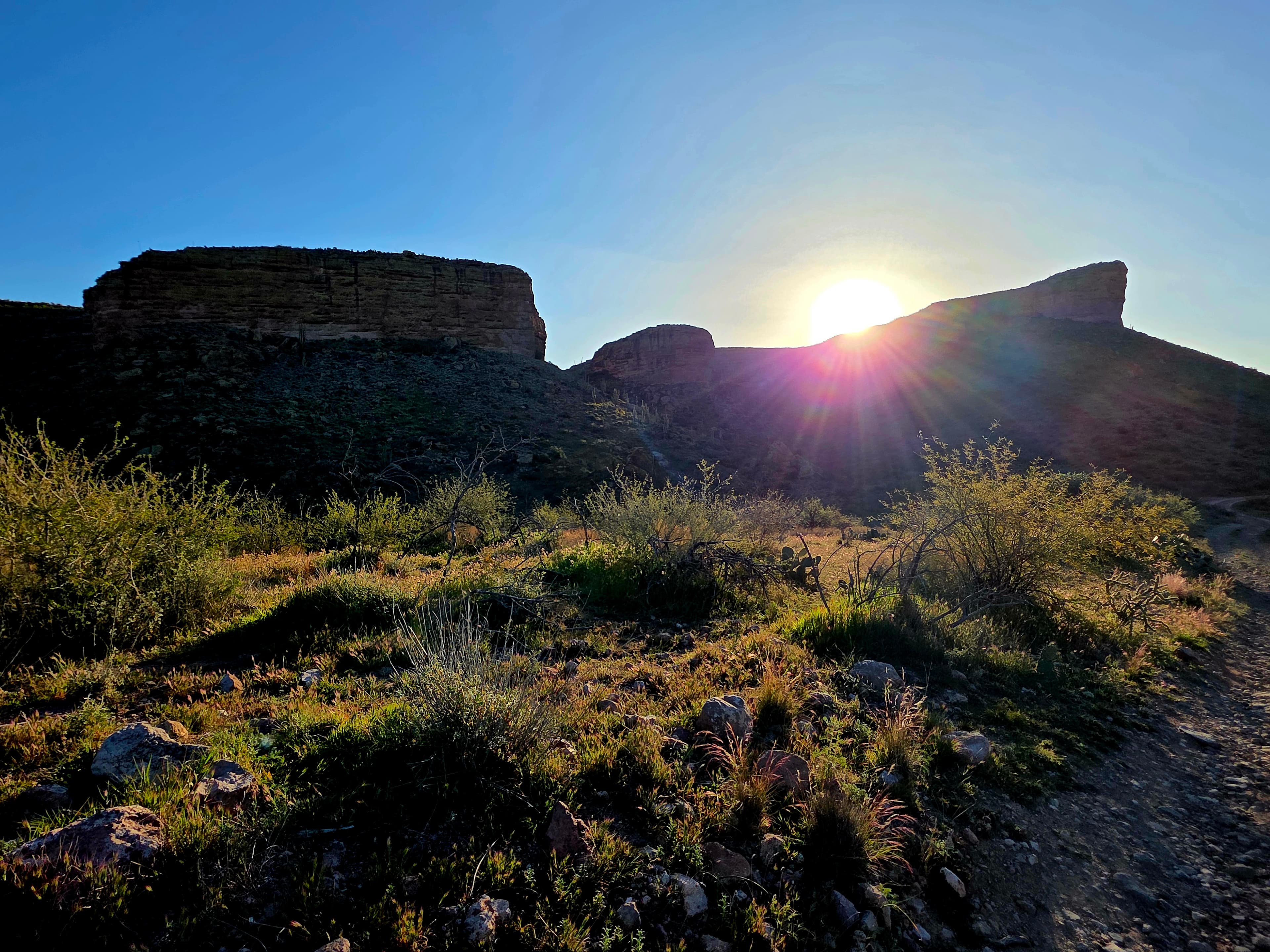 A serene desert awakening with golden sunburst piercing through layered canyon walls while native shrubs catch the first warming light.