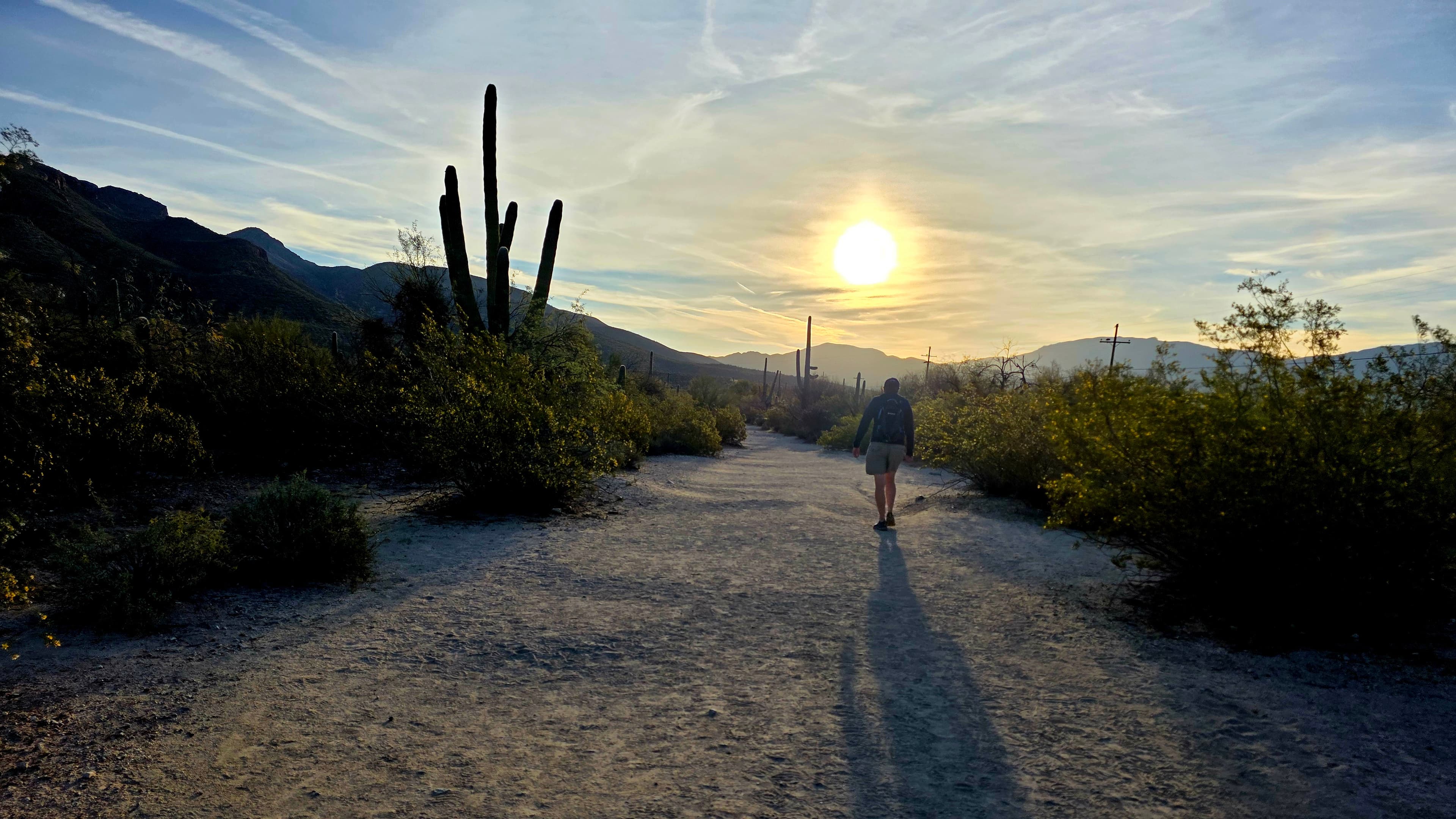 A solitary figure walks toward golden light through pristine Sonoran Desert wilderness, creating a sense of peaceful adventure and natural discovery.